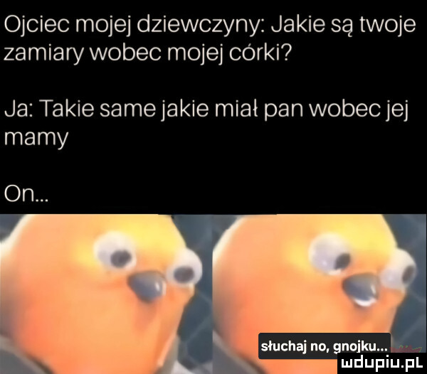 ojciec mojej dziewczyny jakie są twoje zamiary wobec mojej córki ja takie same jakie miał pan wobec jej mamy on. słuchaj no. gnojku mduplu pl