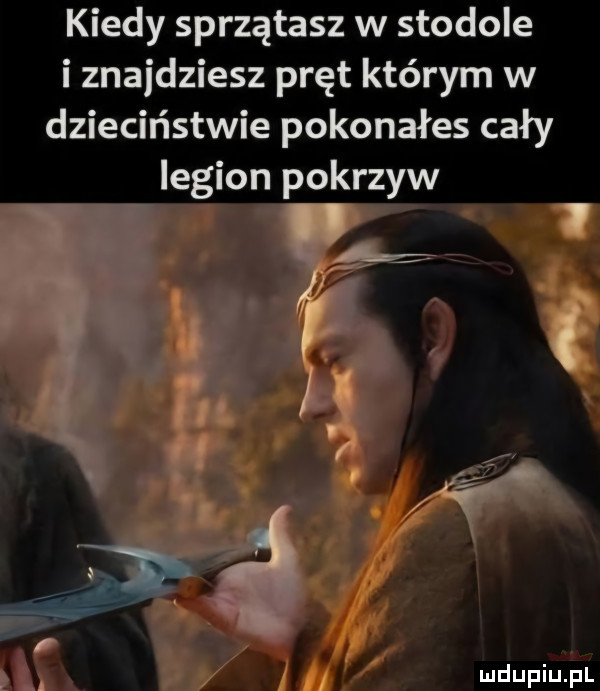 kiedy sprzątasz w stodole i znajdziesz pręt którym w dzieciństwie pokonałes cały legion pokrzyw u