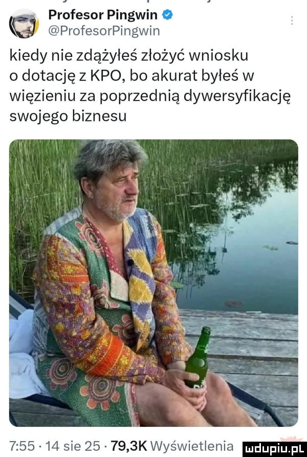 profesor pingwin   profesorpingwin kiedy nie zdążyłeś złożyć wniosku o dotację z keo bo akurat byłeś w więzieniu za poprzednią dywersyfikację swojego biznesu         sie        k wyświetlenia duciu p