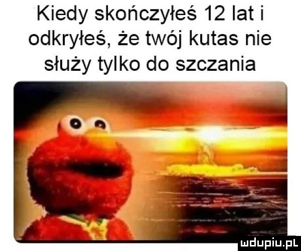 kiedy skończyłeś    lat i odkryłeś że twój kutas nie służy tylko do szczania