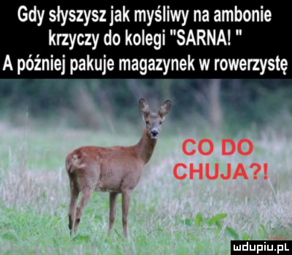gdy słyszysz jak myśliwy na ambonie krzyczy do kolegi sarna a później pakuje magazynek w rowerzystę co do chuja h