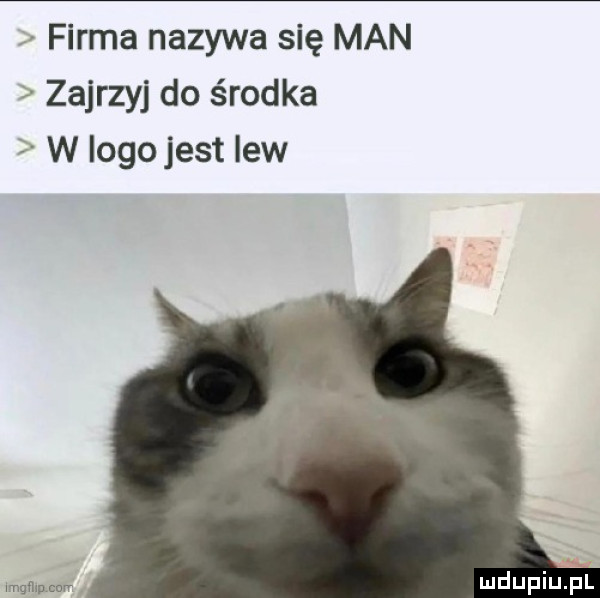 firma nazywa się man zajrzyj do środka w logo jest lew mgﬂlncm