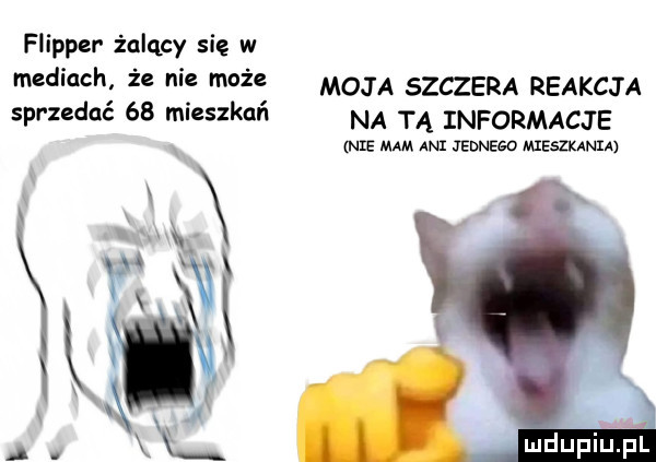 flipper żqlqcy się w mediach że ie może moja szczera reakcja sprzedać    mieszkań na tą informacje nie mam ani jednego mieszkania