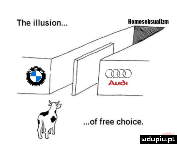 tee illusion. ilumusolsunllnn    of free chcice. w