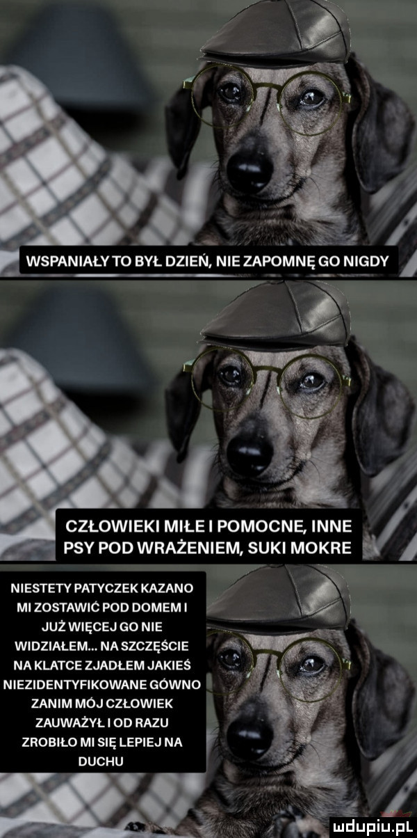 j iii czlowieki mile i pomocne inne. psy pod wrażeniem suki mokre niestety patyczek kazano mi zostawic pod domem i już więcej go nie widzialem. na szczęście na klatce zjadłem jakieś niezidentyfikowane gowno zanim moj czlowiek zauważvłi od razu zrobilo mi się lepiej na duchu
