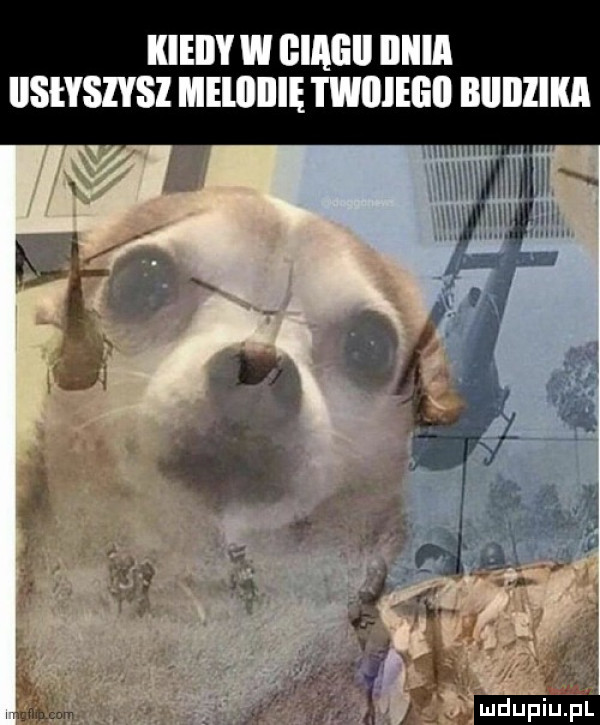 kiedy w hagi iiiiia llslyszvsl meliiilię twiiieiiii biiiiiika
