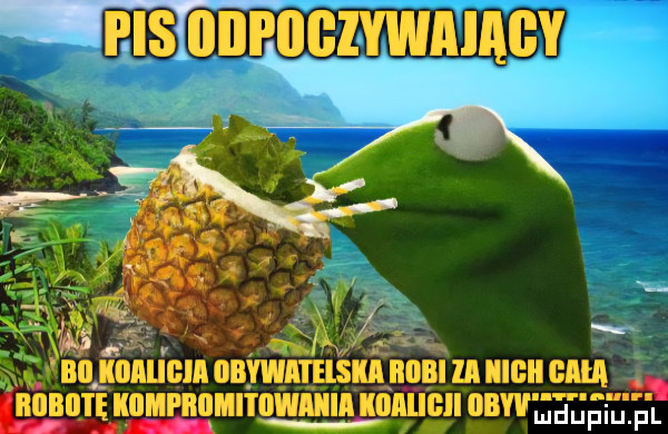 msnifncszmaev mig    . u iilimligii oivwiteisiiliiobi ll iigii cm x. abakankami iiiiibii i ę lﬂﬂpllﬂﬂiiowiiii hoje oiwee jewel