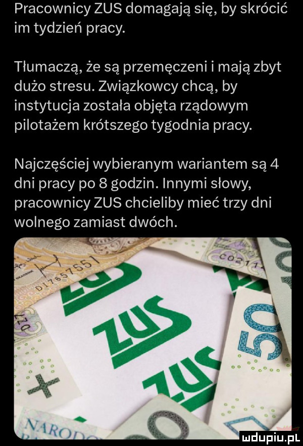 pracownicy zus domagają się by skrócić im tydzień pracy. tłumaczą że są przemęczeni i mają zbyt dużo stresu. związkowcy chcą by instytucja została objęta rządowym pilotażem krótszego tygodnia pracy. najczęściej wybieranym wariantem są   dni pracy po   godzin. innymi słowy pracownicy zus chcieliby mieć trzy dni wolnego zamiast dwóch. i