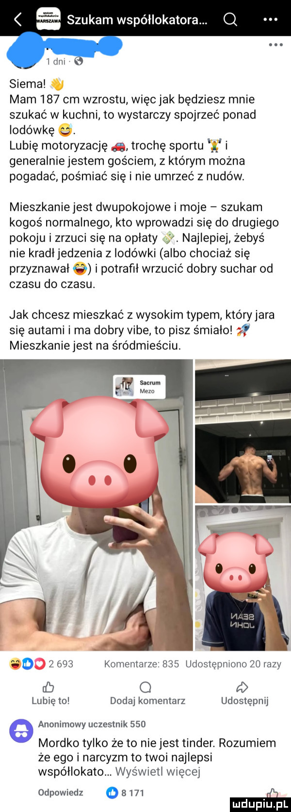 aszukamwspółlokatora. q siema mam     cm wzrostu więc jak będziesz mnie szukać w kuchni to wystarczy spojrzeć ponad lodówkę lubię motoryzację trochę sportu i i generalniejestem gościem z którym można pogadać pośmiać się i nie umrzeć z nudów. mieszkaniejest dwupokojowe i moje szukam kogoś normalnego kto wprowadzi się do drugiego pokoju i zrzuci się na oplaty j najlepiej zebyś nie kradijedzenia z lodówki albo chociaż się przyznawał i potrafił wrzucić dobry suchar od czasu do czasu. jak chcesz mieszkać z wysokim typem któryjara się autami i ma dobry vide to pisz śmiało mieszkaniejest na śródmieściu.       komentarze     udostępniono    razy rb o ti lubię to dodaj komentarz udostępnij anonimowy uczestnik     mordko tylko że to niejest tender. rozumiem że ego i narcyzm to twoi najlepsi wspóllokato. wyrw ell więcej odpowiedz o      ii