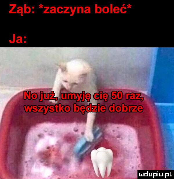 ząb zaczyna boleć ja mdupiupi