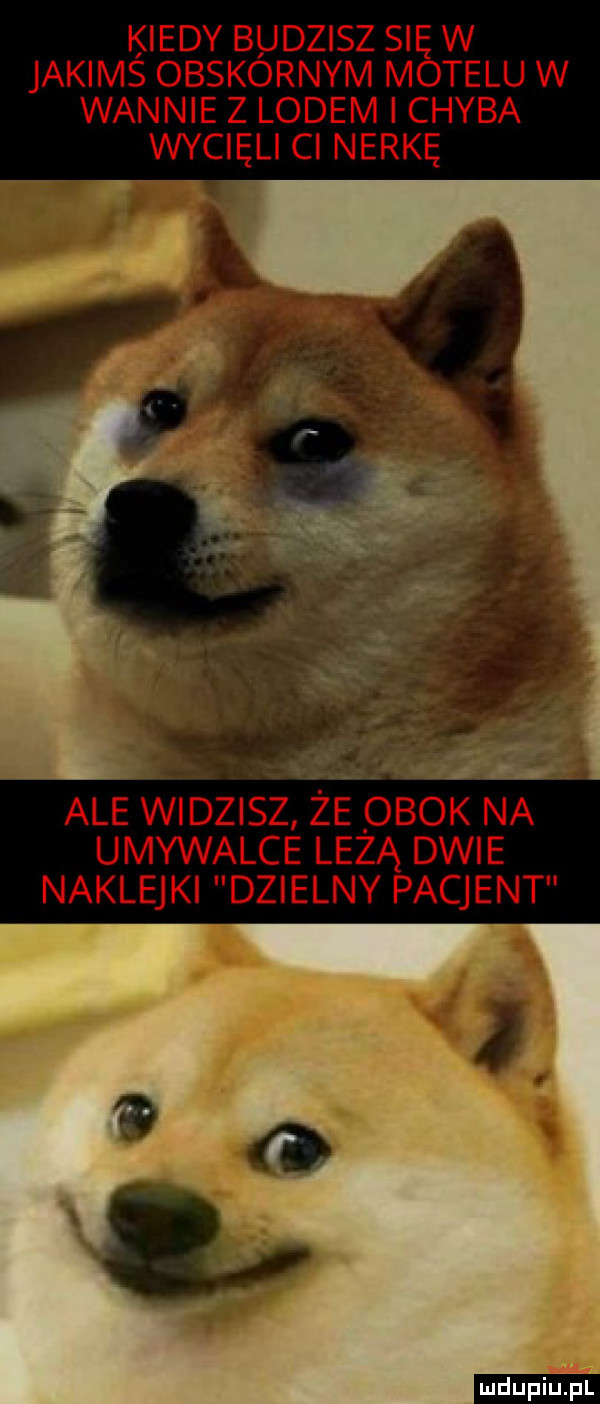 Obrazek