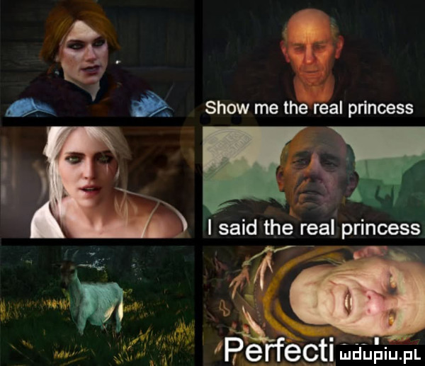 show me tee réal princess nf i said tee real princess iperf ecti aupw