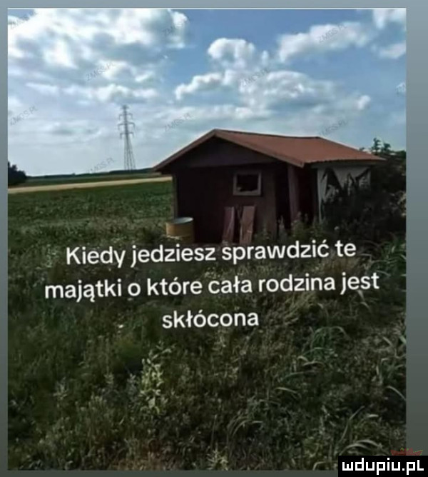 kiedv jedziesz sprawdzić te majątki o które cała rodzina jest skłócona