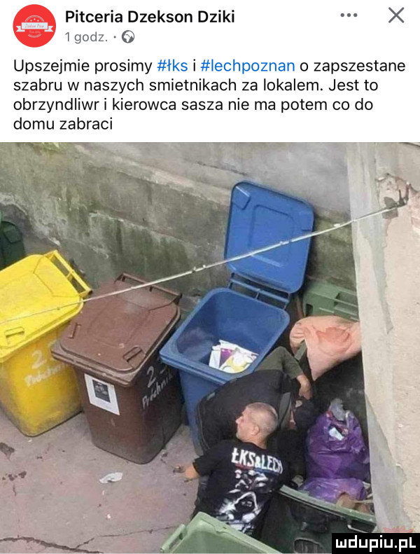 pitceria dzekson dziki   go uprzejmie prosimy mks i iechpoznan o zaprzestane szabru w naszych smietnikach za lokalem. jest to obrzyndliwri kierowca sasza nie ma potem co do domu zagraci mdupluil