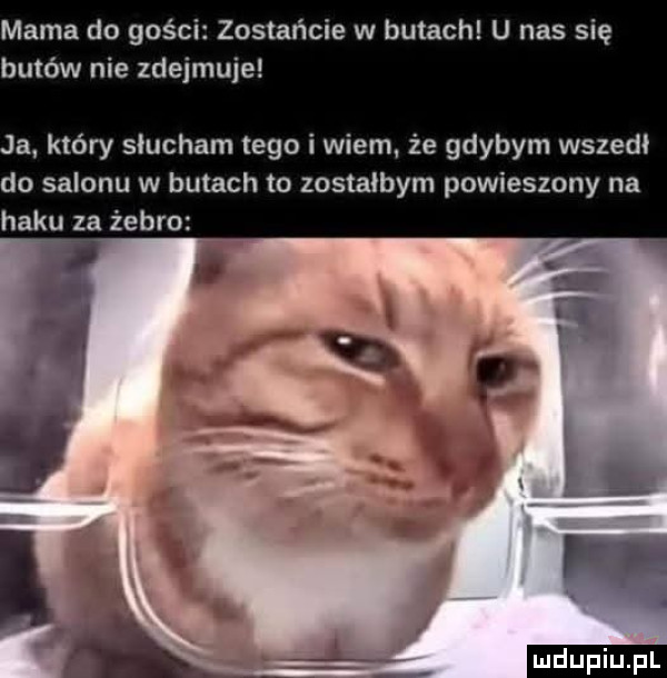 mama do gości zostańcie w butach u nas się butów nie zdejmuje ja. który słucham tego i wiem. że gdybym wszedl do salonu w butach to zostałbym powieszony na haku za żebro