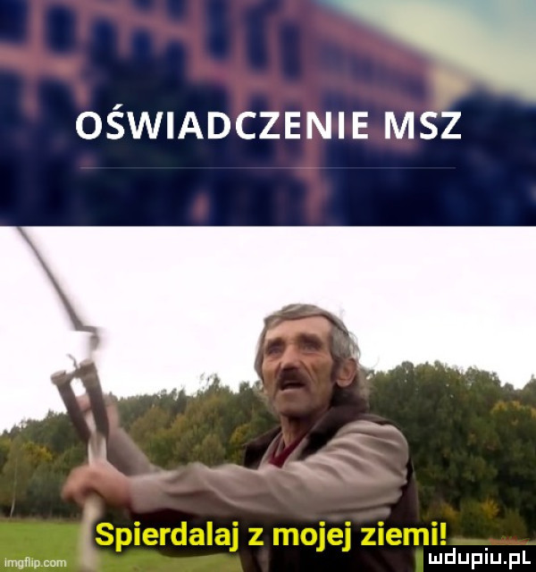 oświadczenie msz mm mm