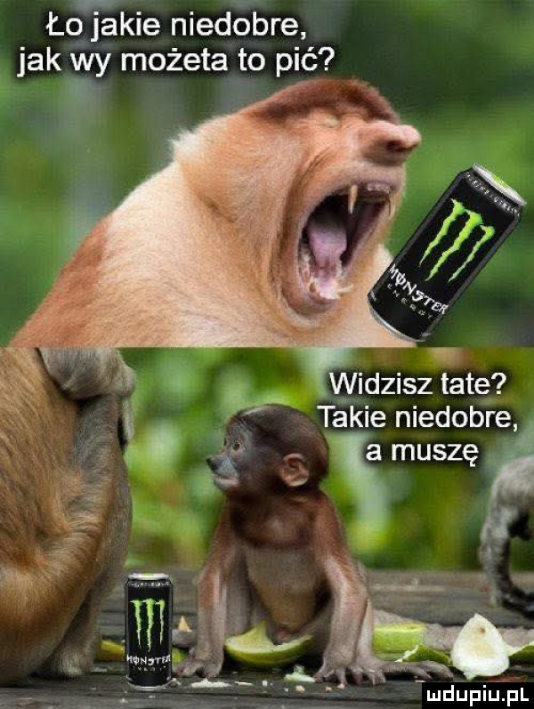 ło jakie niedobre jak wy mofeta to pić takie niedobre x xmuszęf a a w ać ludupiu pl