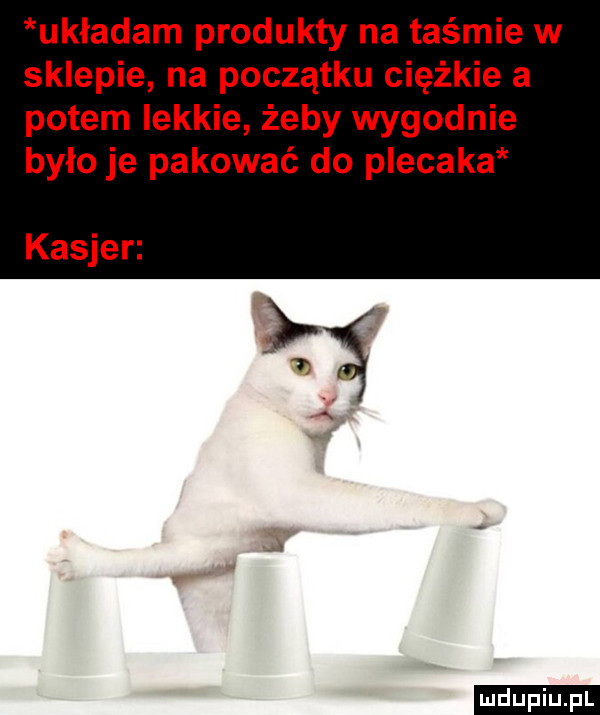 układam produkty na taśmie w sklepie na początku ciężkie a potem lekkie żeby wygodnie było je pakować do plecaka ludu iu. l