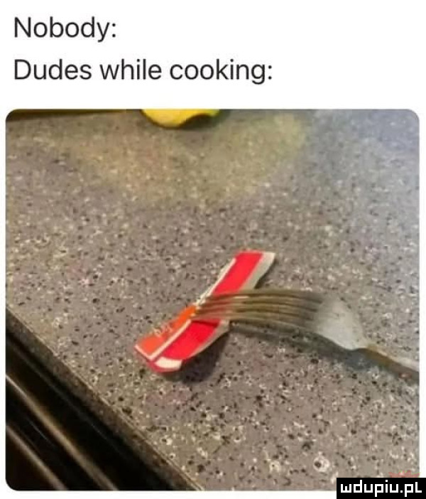 nobody dudes weile cooking luduaiupl