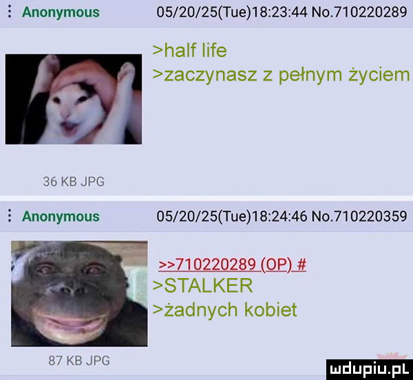 anonymous          tee          no           half lice zaczynasz z pełnym życiem    kb jpg   anonymous          tee          no                     qu stalker żadnych kobiet    kb jpg