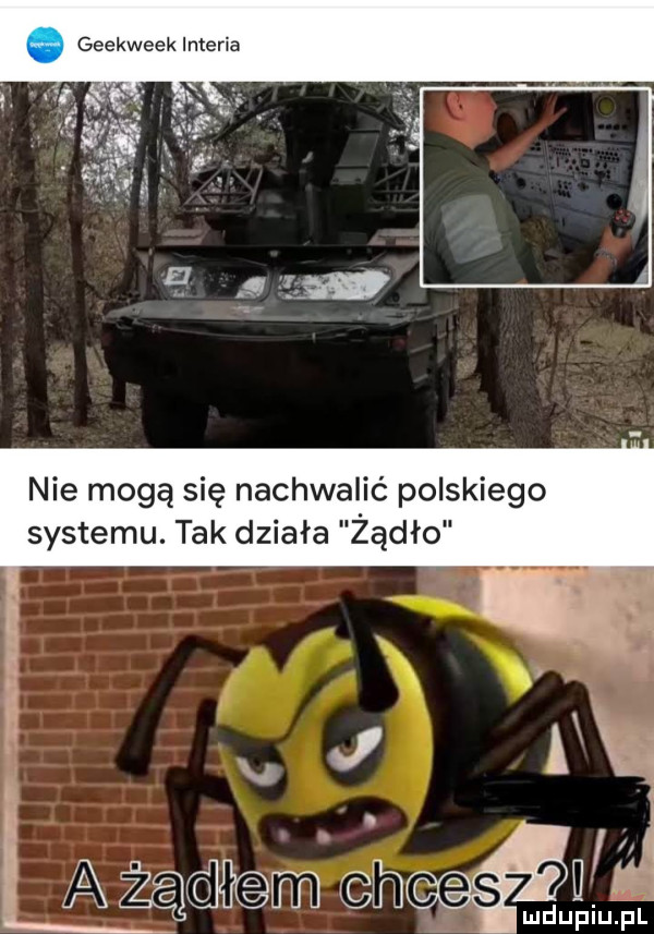 geekweek interia nie mogą się nachwalić polskiego systemu. tak działa żądło j ak f ażądkam was w ludupiu. pl