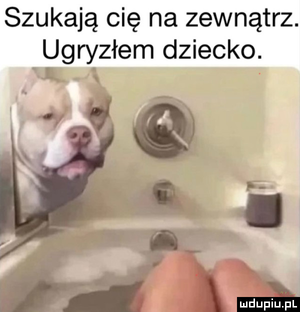 szukają cię na zewnątrz. ugryzłem dziecko