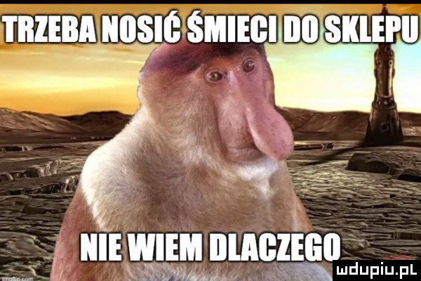trzeba nos smiebiidiiiskiei ii mmpm i