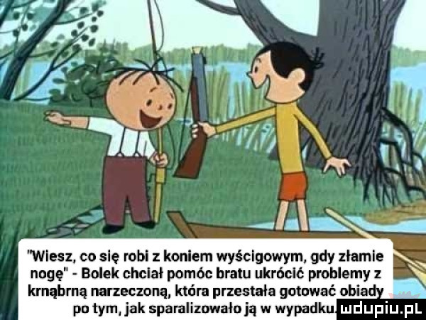 wiesz co sie robi z koniem wyścigowym gdy tłumie nogę bolek chciał pomóc hralu ukrócić problemy z kmąbrną narzeczoną która przestala gotować ucie pn tym jak sparalimwałnją w wypadku