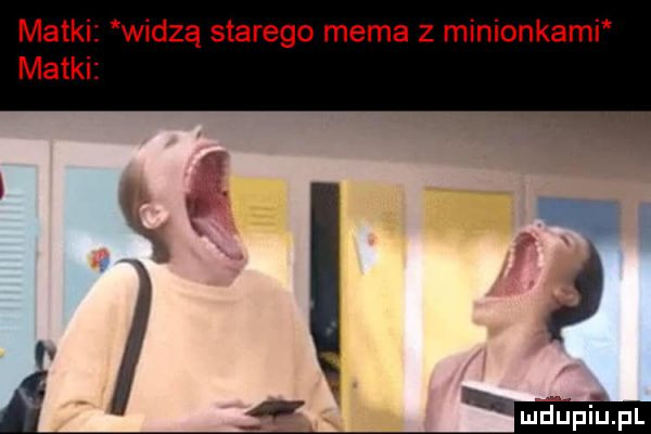 matki widzą starego mema z minionkami matki mdpiu pl