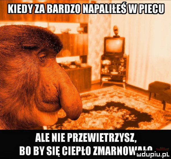 klilﬁzinnnnzu llmutismlaﬂ a w ale icie piiiewietiiivsi bl by się giepłii lmailiiil tallinn