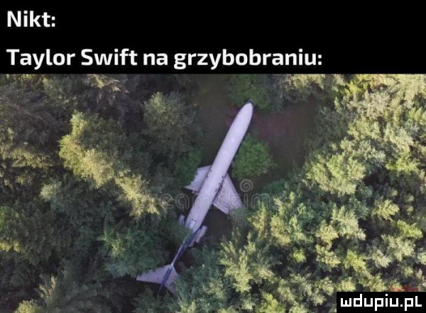 nikt taylor swift na grzybobraniu