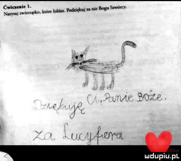 cms. w mam hm lubin. w mbps mev