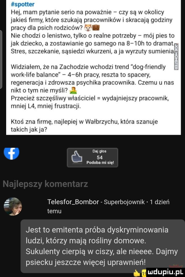 spotter hej man  pytanie serio na powaznie czy są w okolicy jakieś firmy które szukają pracowników skracają godziny pracy dla psich rodziców  nie chodzi o lenistwo tylko o realne potrzeby mó pies to jak dziecko a zostawianie go samego na     hao dramat stres szczekanie sąsiedzi wkurzeni aja wyrku y sumienia widzialem ze na zachodzie wchodzi trend dog triendly werk ice balasce d óh pracy reszta to spacery regeneracja zdrowsza psychika pracownika. czemu u nas nikt o tym nie myśli przeciez szczęśliwy wlas amiel wydaynieyszy pracownik mnie l  mnie frustracji ktoś zna firmę naylepiei w walbrzychu która szanuje takich jak ja  f   mam mi sial telesfor eombor superbojownik   dzień f temu jest to emitenta próba dyskryminowania ludzi którzy mają rośliny domowe. sukulenty cierpią w ciszy ale nieeee. dajmy psiecku jeszcze więcej uprawnień emdupiupl