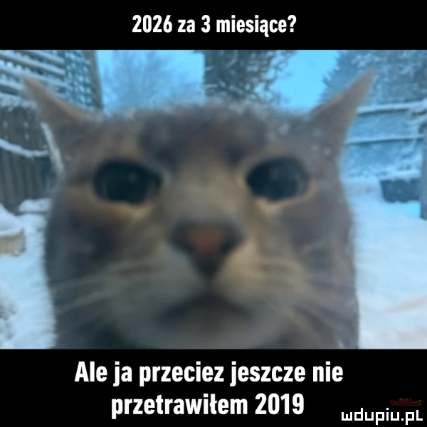 za   miesiące aleja przeciez jeszcze nie przetrawiłem