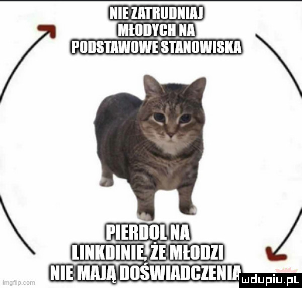 a hme mma iioswiaiigieiiiimufmfl