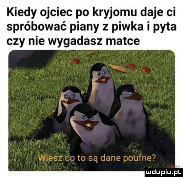 kiedy ojciec po kryjomu daje ci spróbować piany z piwka i pyta czy nie wygadasz matce