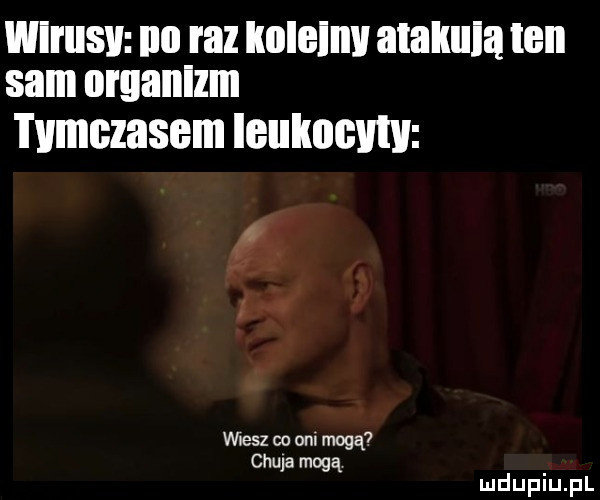 tymczasem leukocyty w elz co opl mogą  ciula mogą mduplu pl