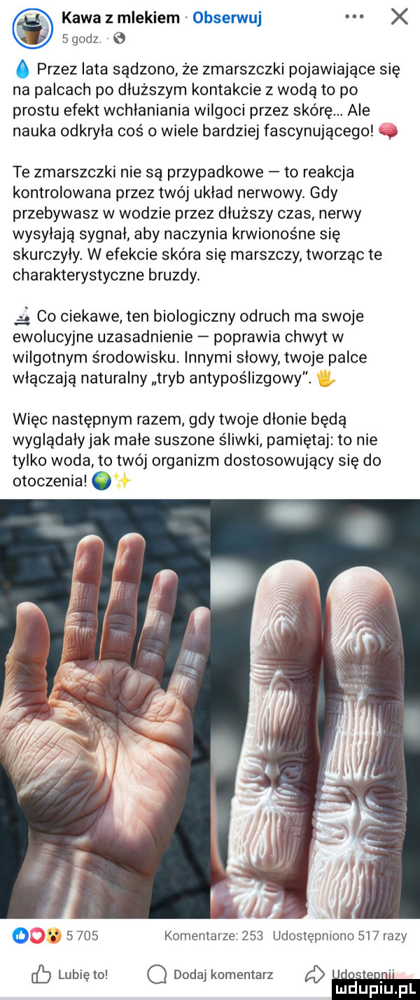 kawa z mlekiem obserwuj x   godz   o przez lata sądzono że zmarszczki pojawiające się na palcach po dłuższym kontakcie z wodą to po prestu efekt wchlaniania wilgoci przez skórę. ale nauka odkryla coś o wiele bardziej fascynującego te zmarszczki nie są przypadkowe to reakcja kontrolowana przez twój uklad nerwowy. gdy przebywasz w wodzie przez dłuższy czas nerwy wypylają sygnal aby naczynia krwionośne się skurczyly. w efekcie skóra się marszczy tworząc te charakterystyczne bruzdy.   co ciekawe ten biologiczny odruch ma swoje ewolucyjne uzasadnienie poprawia chwyt w wilgotnym środowisku. innymi slowy twoje palce włączają naturalny tryb antypoślizgowy. więc następnym razem gdy twoje dlonie będą wyglądalyjak male suszone śliwki pamiętaj to nie tylko woda to twój organizm dostosowujący się do otoczenia o      komentarze     udostępniono     razy eb lunięto o dodaj komentarz a ludupl l
