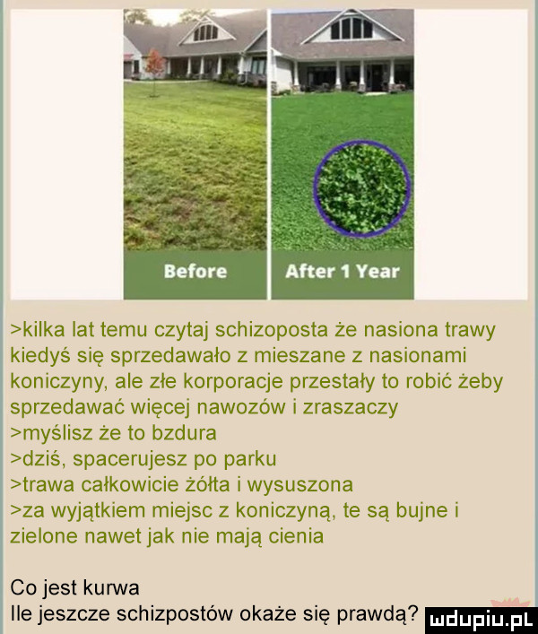 kilka lat temu czytaj schizoposta ze nasiona trawy kiedyś się sprzedawało z mieszane z nasionami koniczyny ale zje korporacje przestały to robić żeby sprzedawać więcej nawozów i zraszaczy myślisz ze to bzdura dziś spacerujesz po parku trawa całkowicie żółta i wysuszona za wyjatkiem miejsc z koniczyna te są bujne i zielone nawetjak nie mają cienia co jest kurwa ile jeszcze schizpostów okaże się prawdą