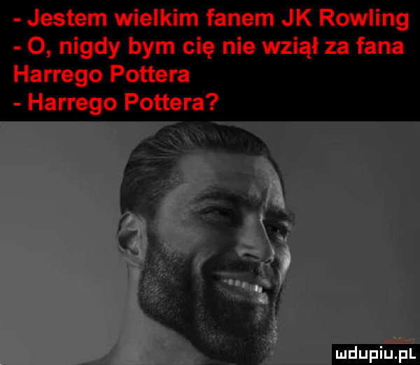 jestem wielkim fanem jk rowling o nigdy bym cię nie wziął za fana hardego pottera hardego pottera ludu iu. l