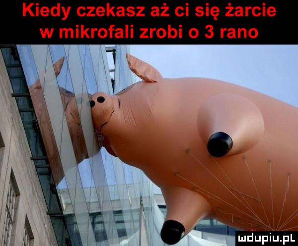kiedy czekasz aż ci się żarcie w mikrofali zrobi o   rano