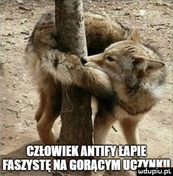 czmwumﬁn uﬁ ihszvsnznnamﬁ nﬁjemuu