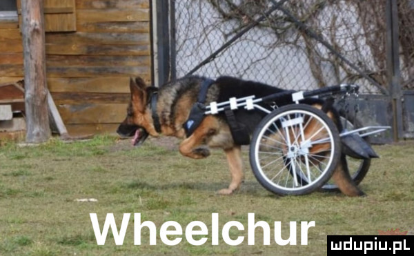 j. ﬁg. j. wheelchur mdupm m