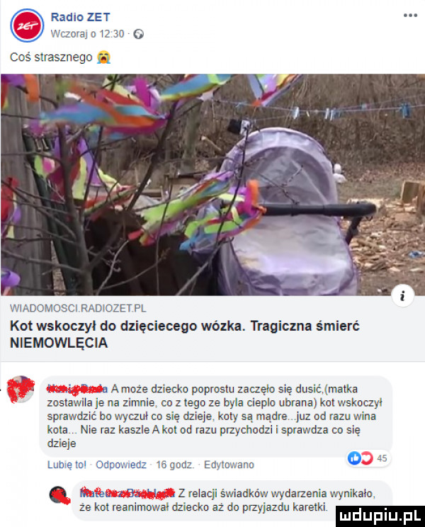 radlo zet wam o iz    o coś simsznegc l wiadomosci radidzet f l ko wskoczył do dzięciecego wózka. tragiczna śmierć niemowlęcia a a moze dziecko popmszu zaczęid sie dusić ma ka zostawila je na zimnie co z tego ze byla ciepło ubrana ko wskoczyi spiawdzic bc wyczuł co się dzieje koty sa mądre juz obrazu wina koba nie raz kasziaakoi nd razu przychodzi i sprawdza cd się dzieje lunięidi odpowiedz idgddz edyzdvano mm      z z reiacjl świadków wydarzenia wynikało ze km reammuwal dziecko az do payjazdu karetki luduplu p