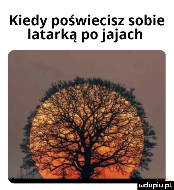 kiedy poświecisz sobie latarką po jajach