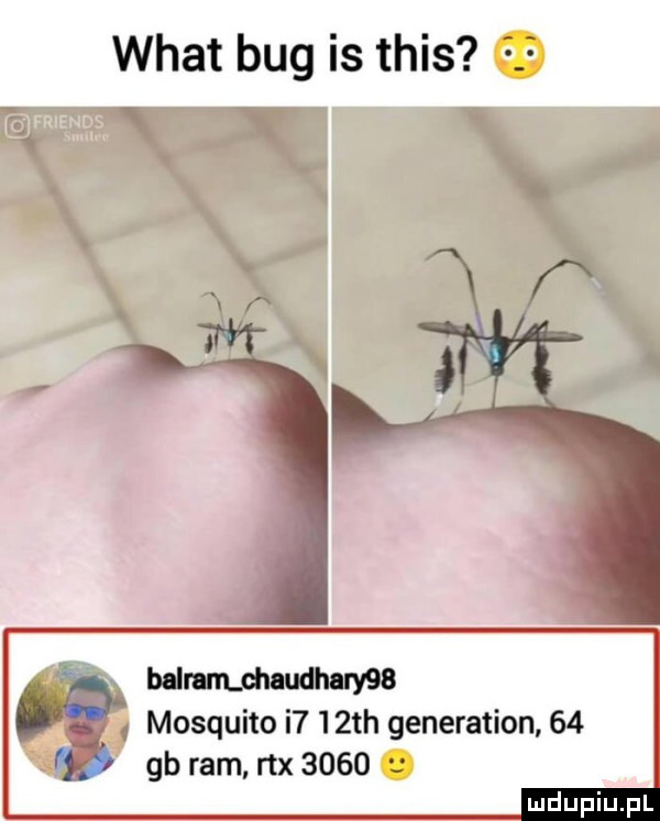 wiat bug is tais ż. e x x v balem ohaudhary   mosquito i    th generation    f gb ram rex