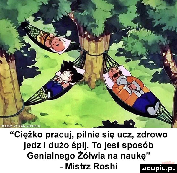 clęzko pracuj pilnie się ucz zdrowo jedz i dużo śpij. to jest sposób genialnego żółwia na naukę mistrz rosji