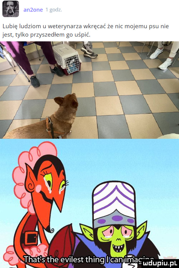 anzone lubię iudzwom u weterynarza wkręcać ze mc mojemu psu me jest tylko przyszedłem go uśpić jaupiupl tee evilest thing i cen il n ag
