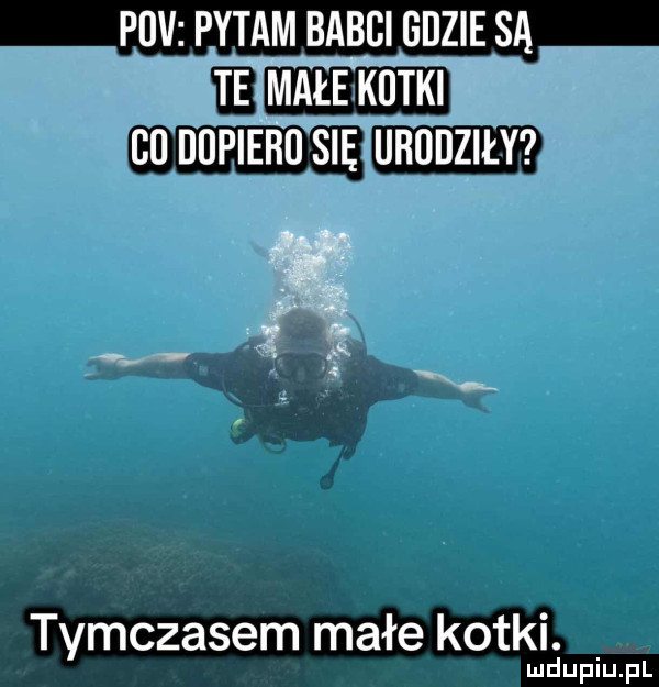 fdv pytam babci gdzie sa małeikutki cu dupiebﬂ sie unonzmr kotki. tymczasem małe a ludupiu. pl