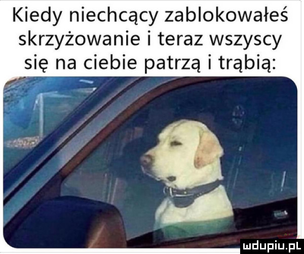 kiedy niechcący zablokowałeś skrzyżowanie i teraz wszyscy się na ciebie patrzą i trąbią